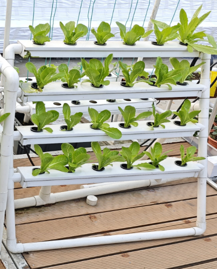 Hydroponic Nft Channel - Sistem Hidroponik Vertikal MINI 24 Lubang