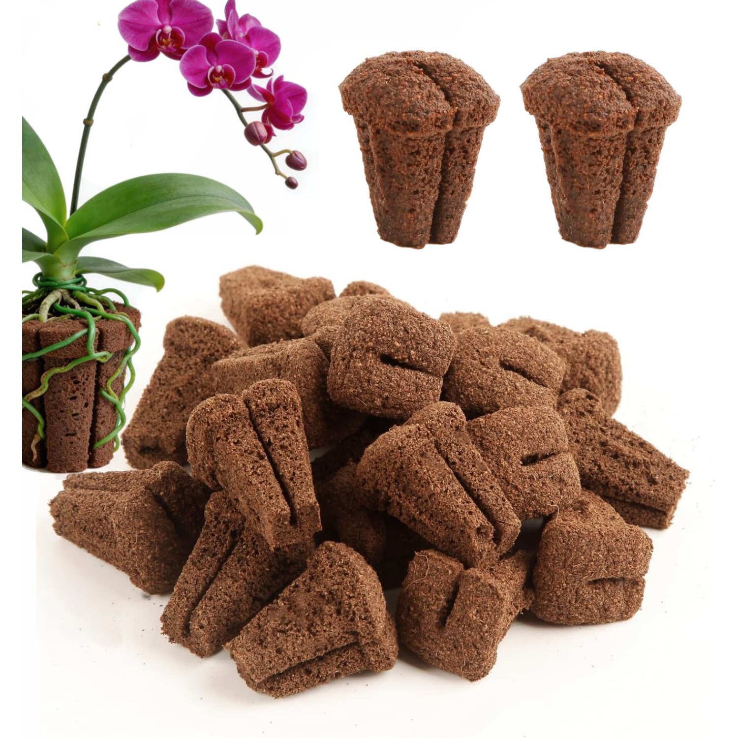 Nursery Plug Tray - Spons Perkecambahan Cepat Hidroponik untuk Pembibitan