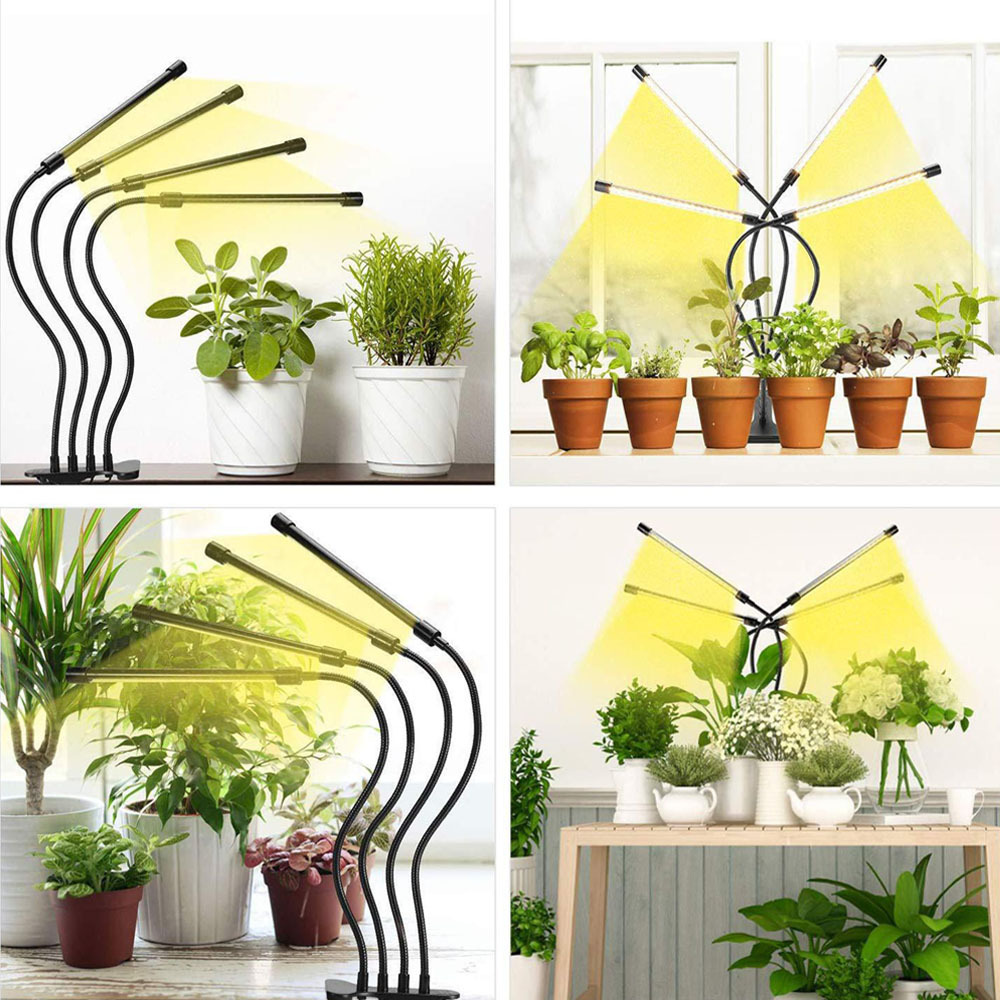 Lampu pertumbuhan tanaman LED  - Hydroponic Nft Channel ulasan dan harga