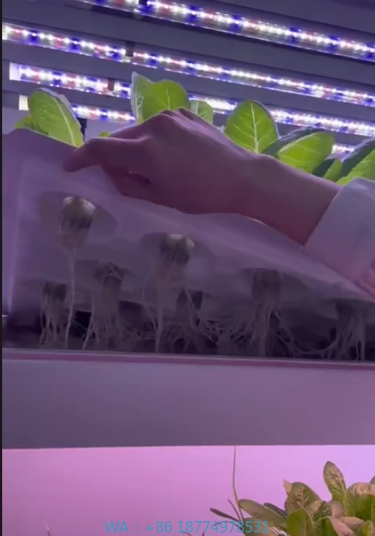 Peralatan Pertanian Rumah Kaca - Agriculture Farming System ulasan dan harga