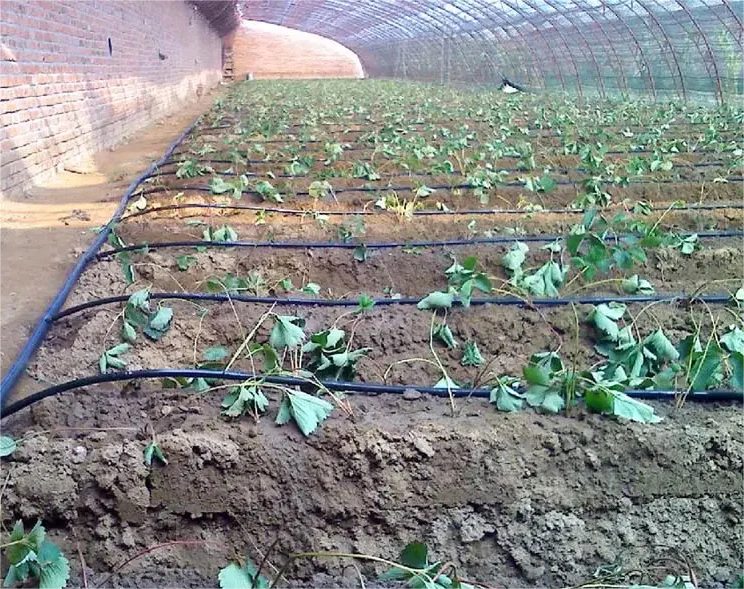 Perlengkapan Irigasi 1HA Alat  - Agriculture Farming System ulasan dan harga