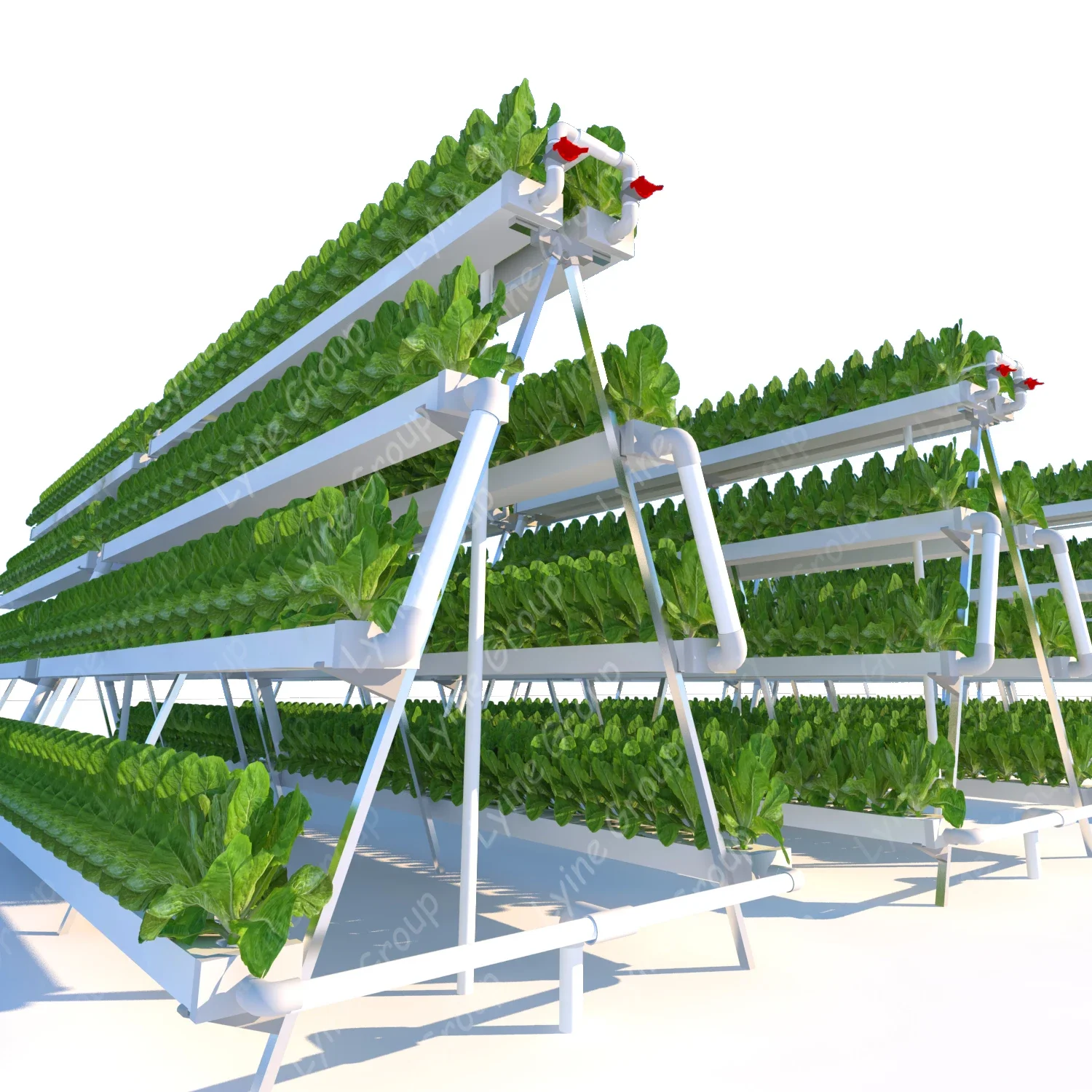 Produsen produksi sistem hidro - Hydroponic Nft Channel ulasan dan harga
