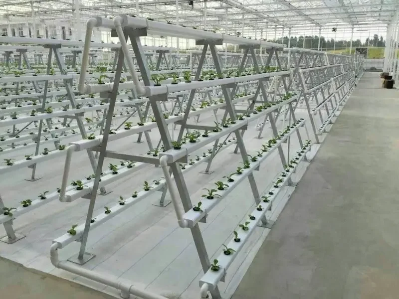 Produsen produksi sistem hidro - Hydroponic Nft Channel ulasan dan harga