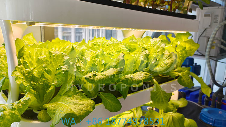 Mesin Pertanian untuk Menanam  - Agriculture Farming System ulasan dan harga