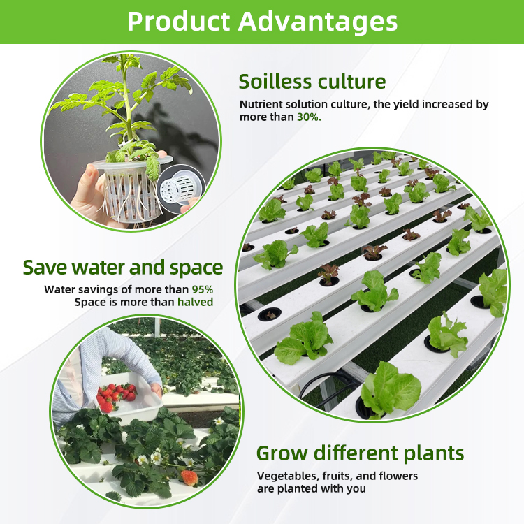 Sistem Irigasi Saluran PVC Hid - Hydroponic Nft Channel ulasan dan harga