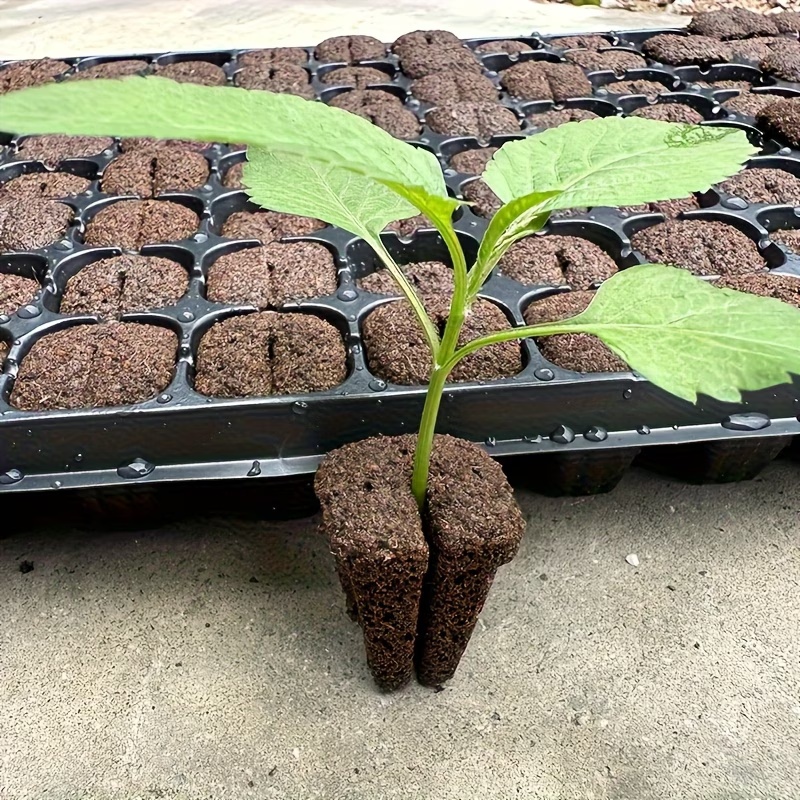 Spons Perkecambahan Cepat Hidr - Nursery Plug Tray ulasan dan harga