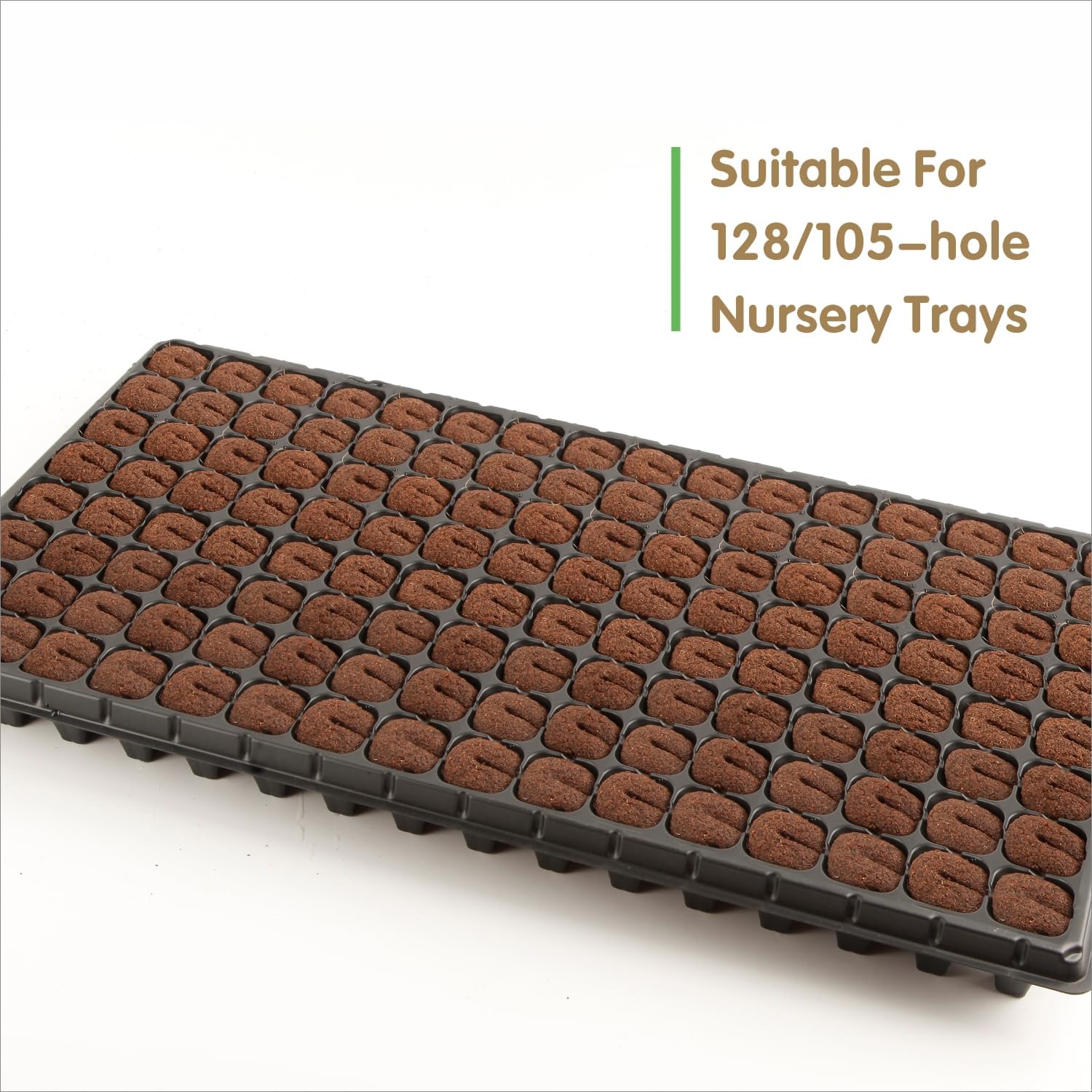 Spons Perkecambahan Cepat Hidr - Nursery Plug Tray ulasan dan harga