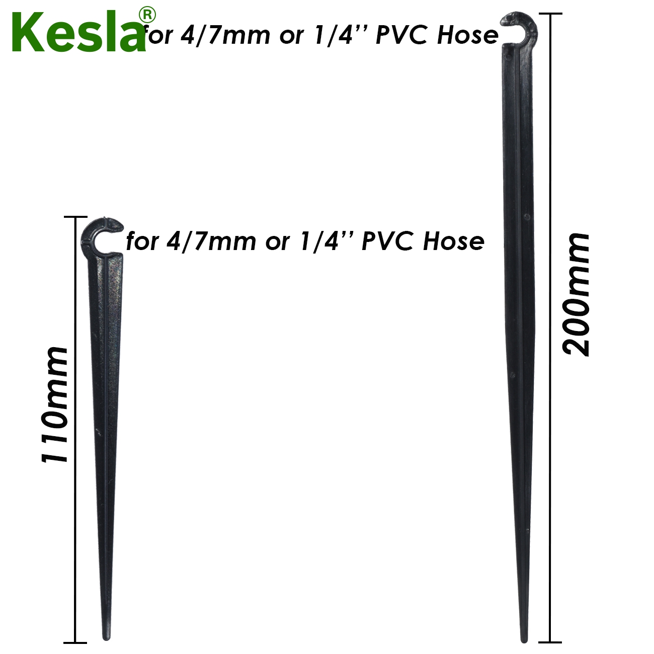 KESLA 50-1000 Buah Taman 1/4 
