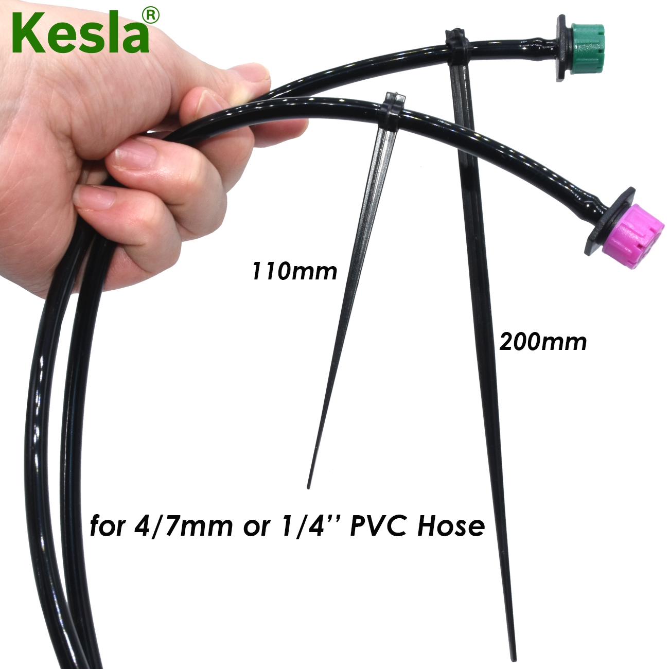 KESLA 50-1000 Buah Taman 1/4 