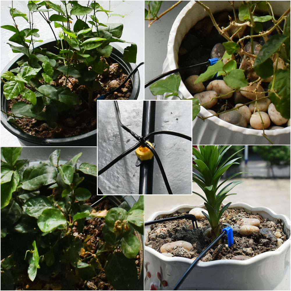 Rumah Kaca Pot Melengkung Pana - Irrigation Drip Tape ulasan dan harga