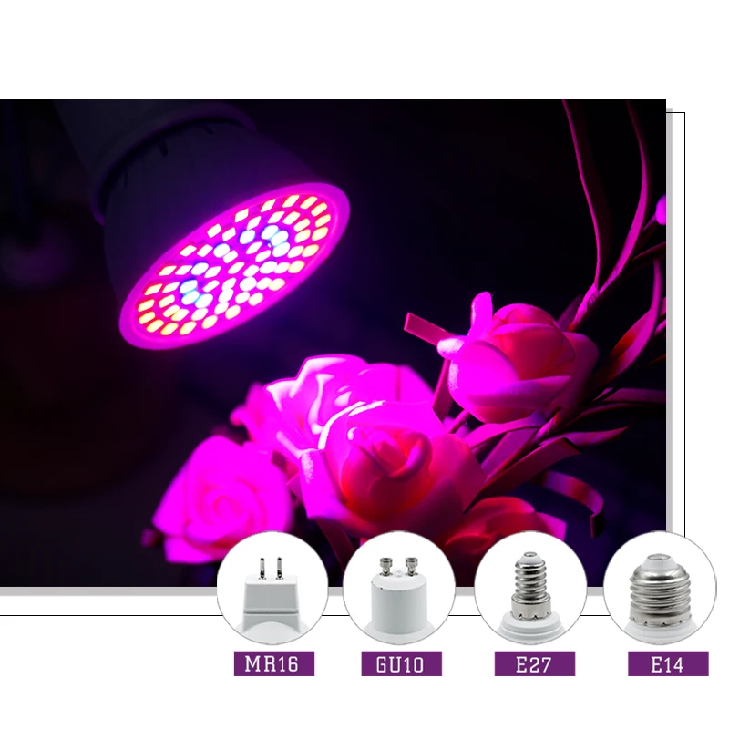 LED spektrum penuh lampu tumbu - Hydroponic Nft Channel ulasan dan harga
